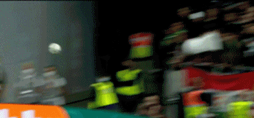 7.gif