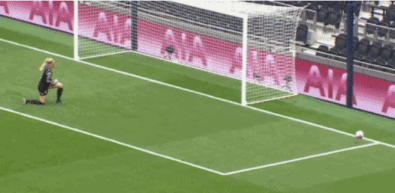 8.gif