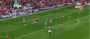 5.gif