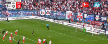 21.gif