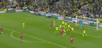 8.gif