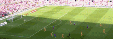 6.gif