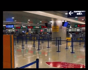 曾凡博123.gif
