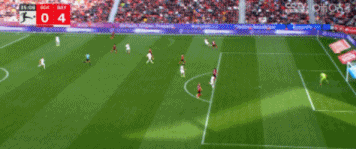 5.gif
