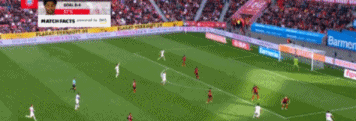 6.gif