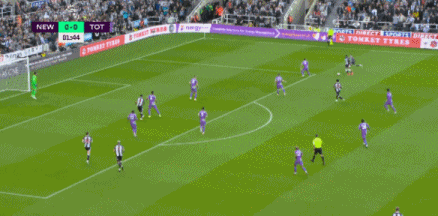 8.gif