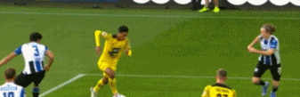 碑林母鹅.gif