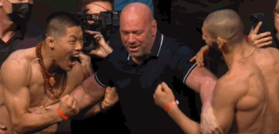 5.gif