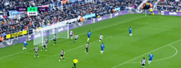 8.gif