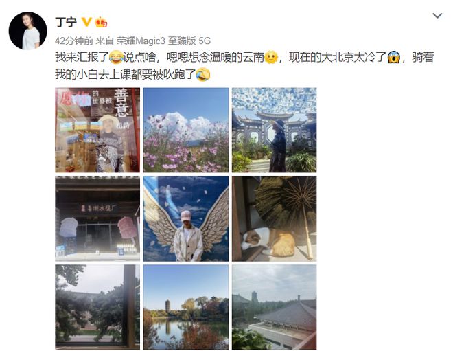 下载 (4).jpg