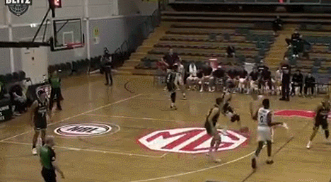 GIF.gif
