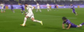 米兰4.gif