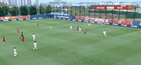 5.gif
