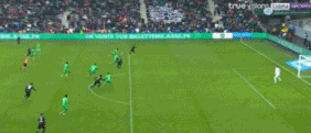 16.gif