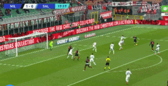 19.gif