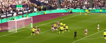 20.gif