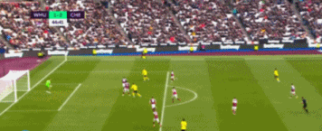 22.gif