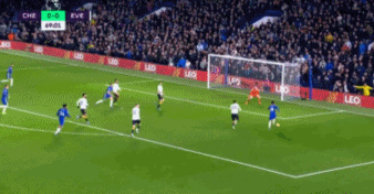 5.gif