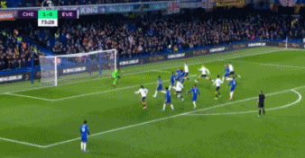 6.gif