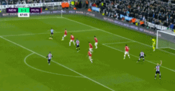 5.gif