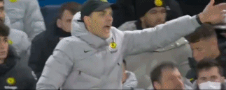 凯帕.gif
