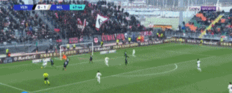 米兰2.gif
