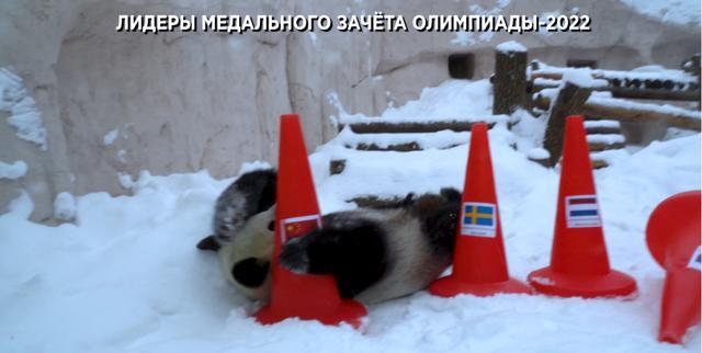 5fdf8db1cb13495464ee824aa94c4751d1094a3c.jpeg