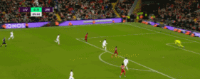 11.gif