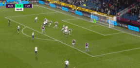 13.gif