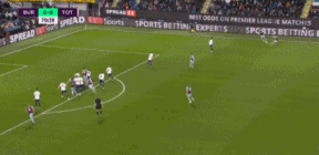 14.gif