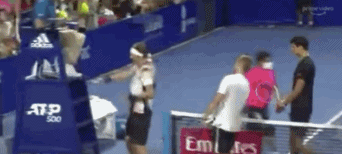 兹维列夫.gif