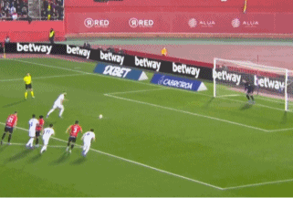 8.gif