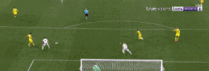 尤文4.gif