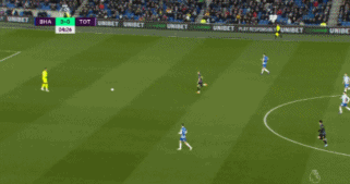 凯恩.gif