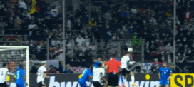 13.gif