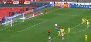 波兰1.gif