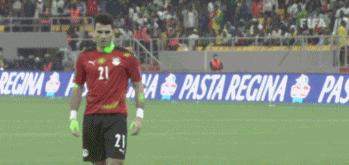 埃及.gif