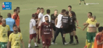 巴西.gif