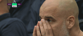 瓜迪奥拉2.gif