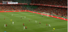 葡萄牙.gif