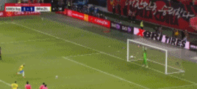 巴西2.gif