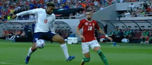 1.gif