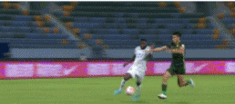 17.gif