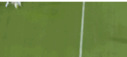 18.gif