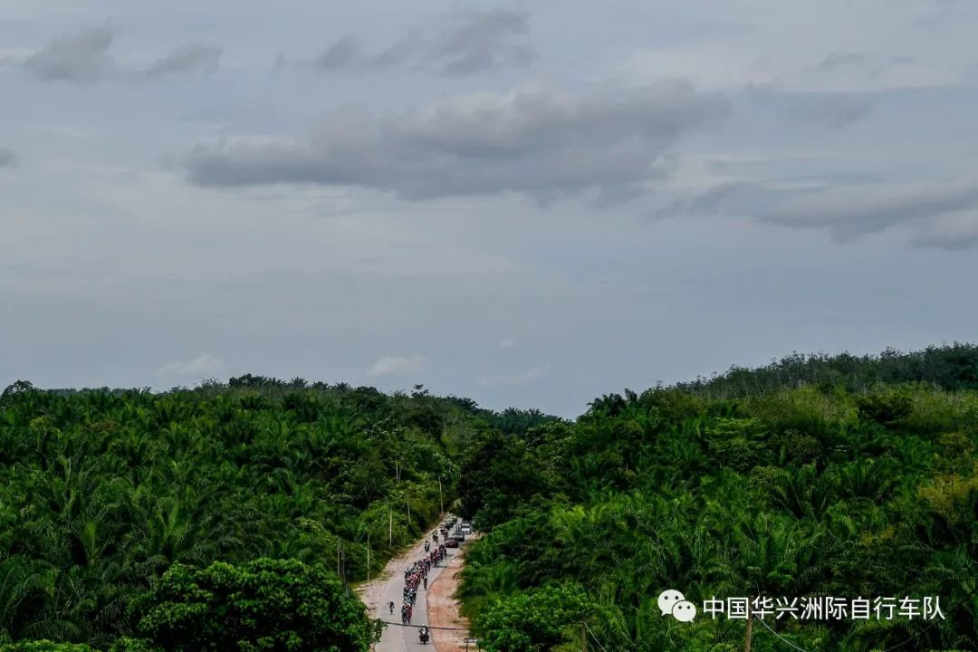 【速递】教练爆粗！塔图姆面对两人高难度上篮得手被吹进攻犯规