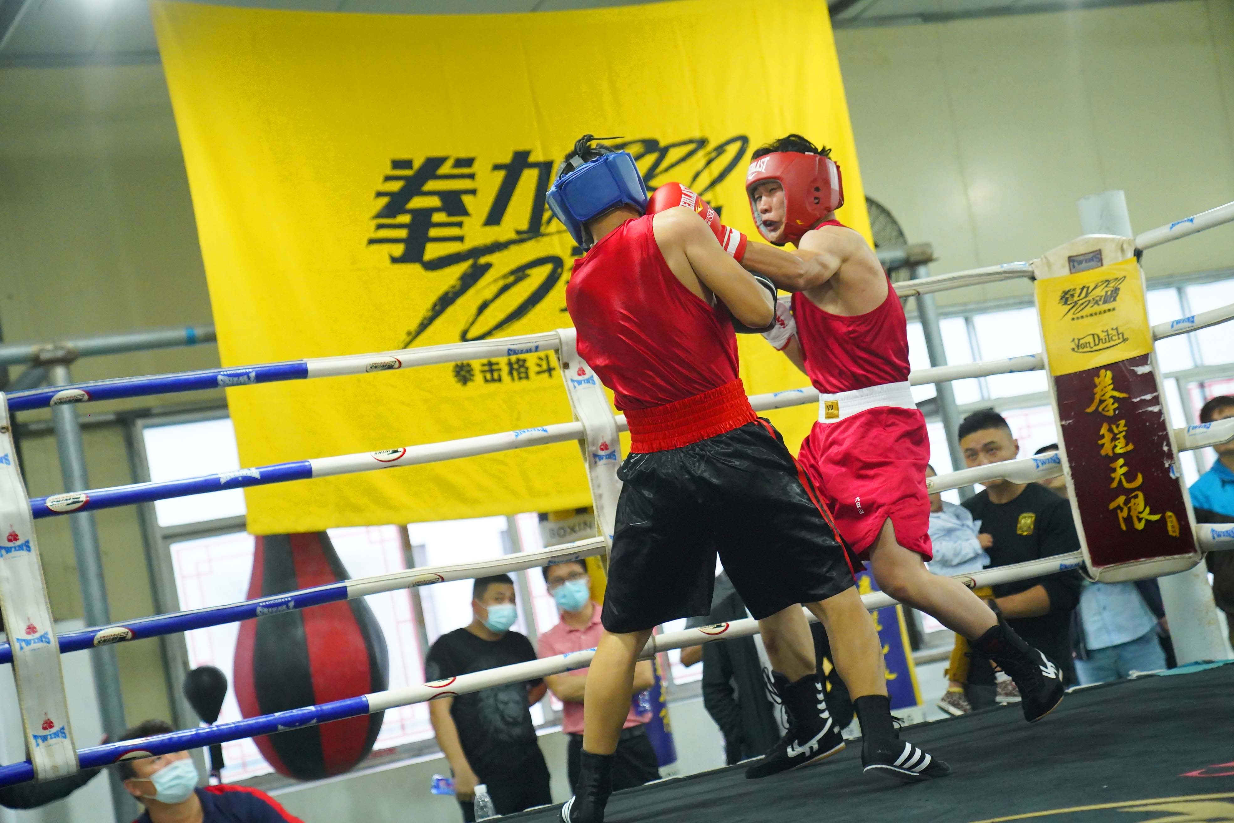 ufc举牌女郎选拔鉴赏 兔兔这么可爱怎么能吃兔兔(十四)