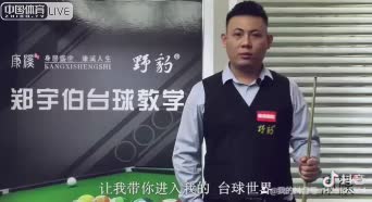 中式台球北方排名赛 禹龙海vs陈强