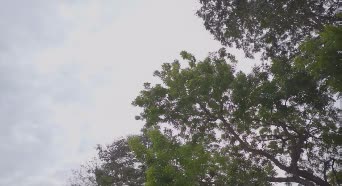 网友恶搞李宗伟 超人体质虐世界